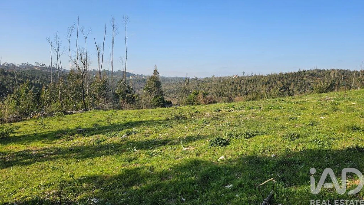 Moradia T2 para Venda em Santiago da Guarda Foto 36