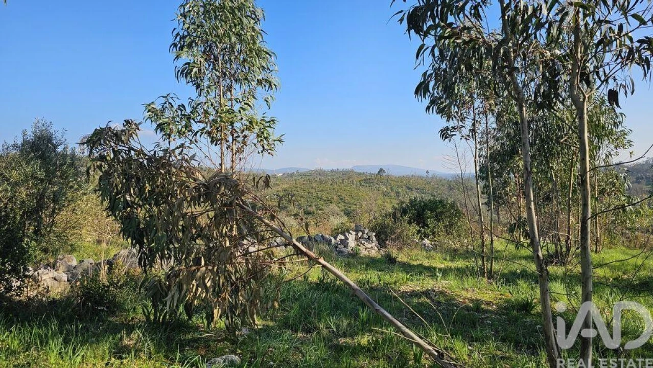 Moradia T2 para Venda em Santiago da Guarda Foto 40