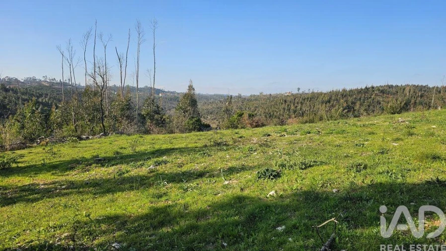 Moradia T2 para Venda em Santiago da Guarda Foto 36