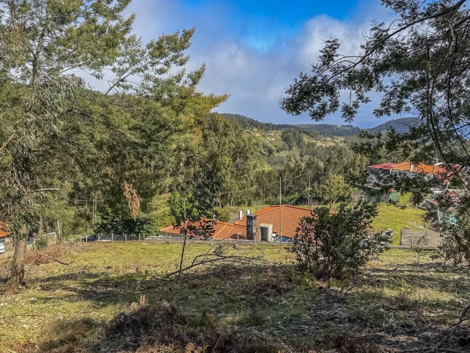 Terreno para Venda em Camacha Foto 13