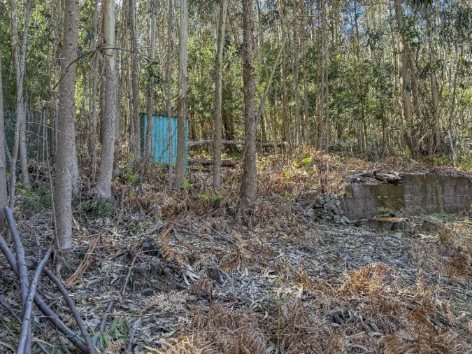 Terreno para Venda em Camacha Foto 5