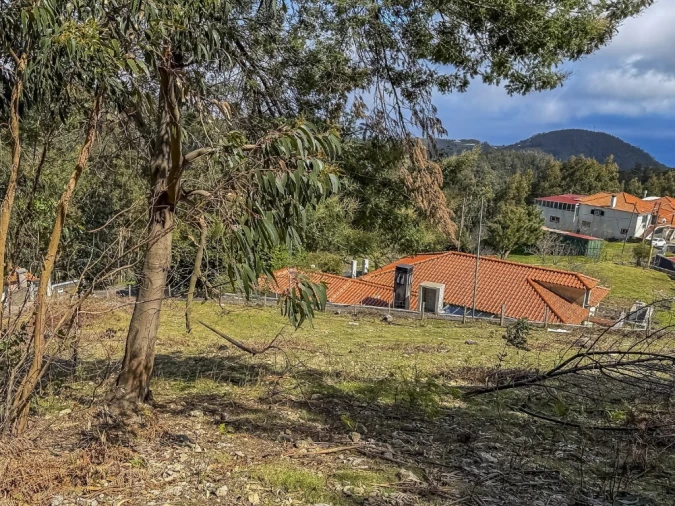 Terreno para Venda em Camacha Foto 14