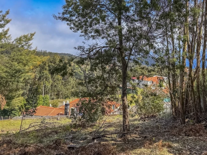 Terreno para Venda em Camacha Foto 11