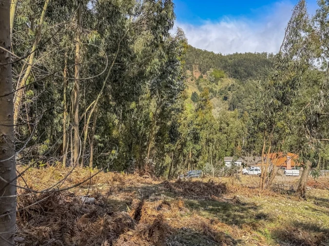 Terreno para Venda em Camacha Foto 12