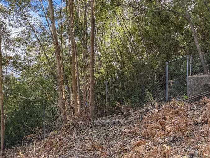 Terreno para Venda em Camacha Foto 10