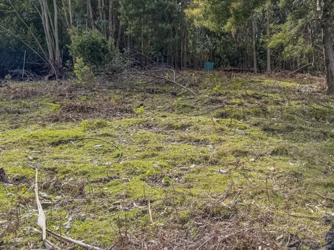 Terreno para Venda em Camacha Foto 21