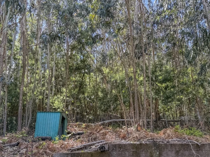 Terreno para Venda em Camacha Foto 7
