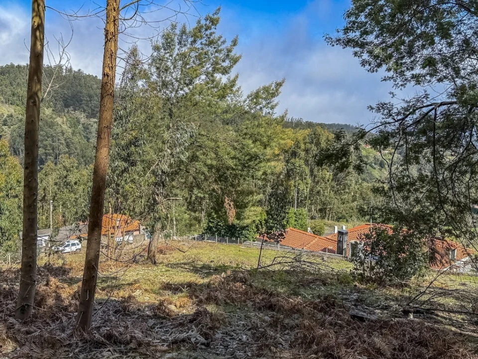 Terreno para Venda em Camacha Foto 9