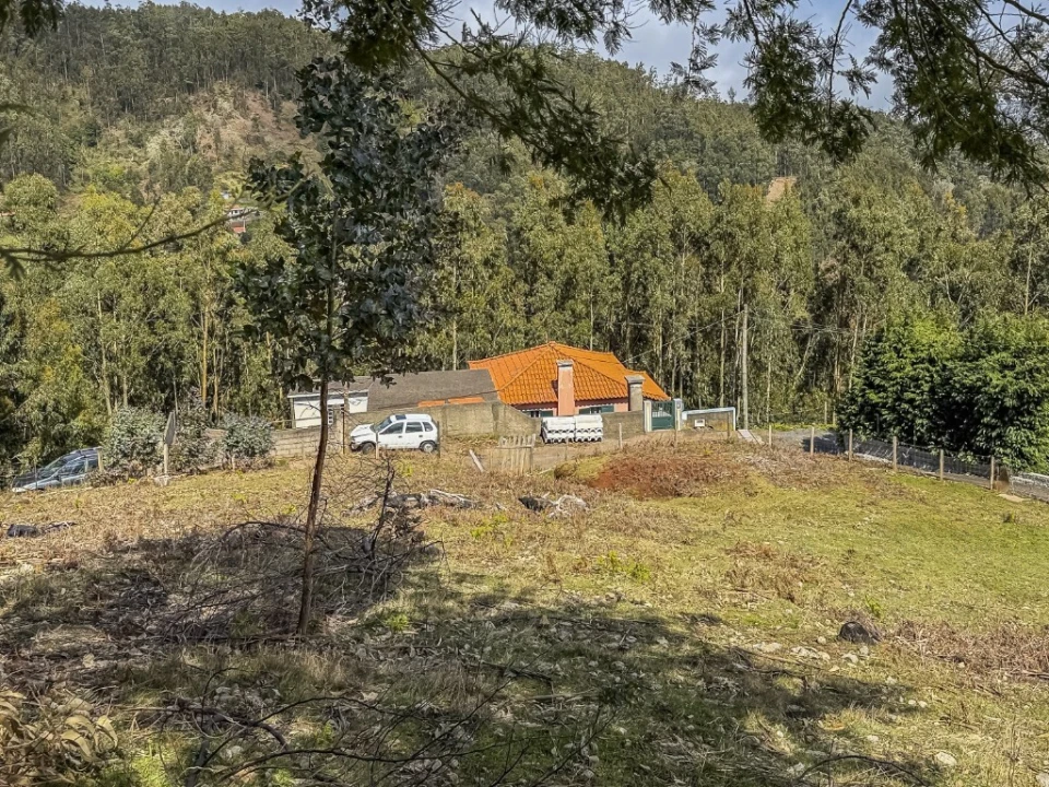 Terreno para Venda em Camacha Foto 16