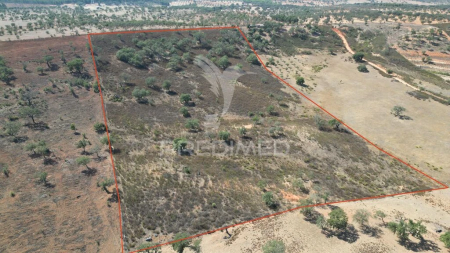 Terreno para Venda em Ourique Foto 3