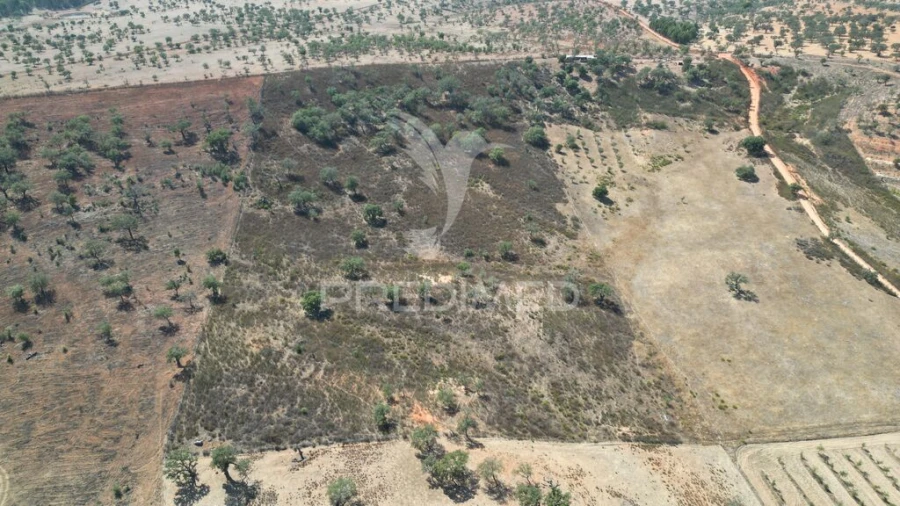 Terreno para Venda em Ourique Foto 5