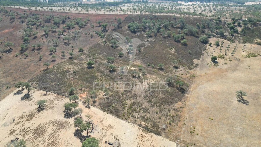 Terreno para Venda em Ourique Foto 7
