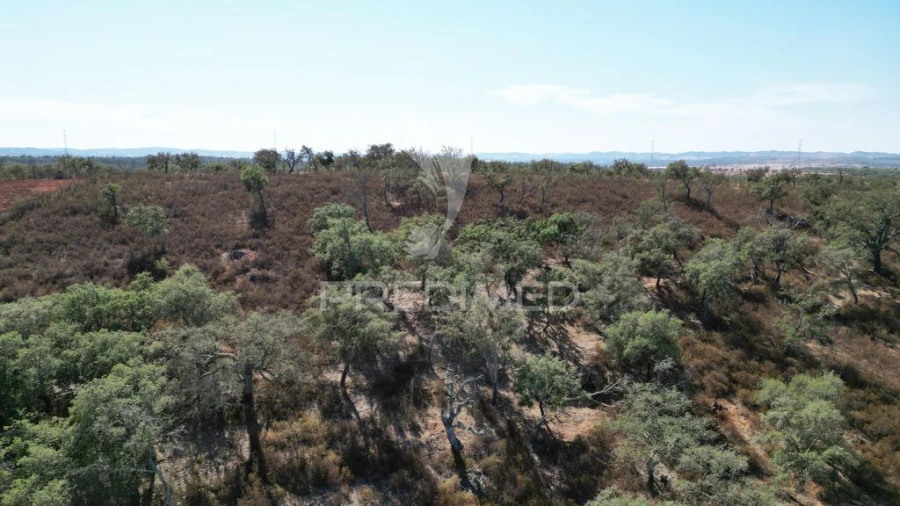 Terreno para Venda em Ourique Foto 11