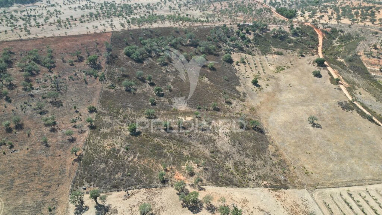 Terreno para Venda em Ourique Foto 5