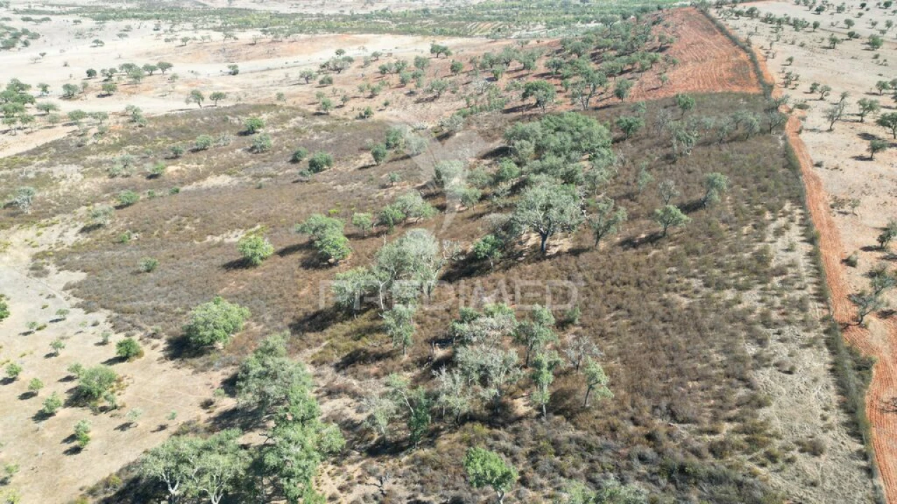 Terreno para Venda em Ourique Foto 6