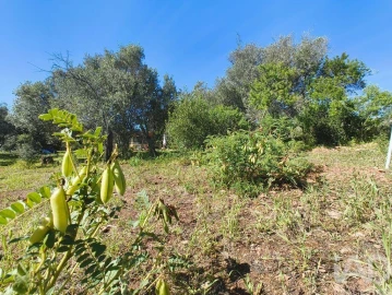 Terreno para Venda em Bensafrim e Barão de São João