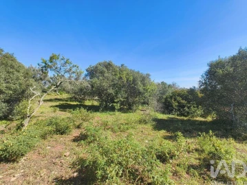 Terreno para Venda em Bensafrim e Barão de São João