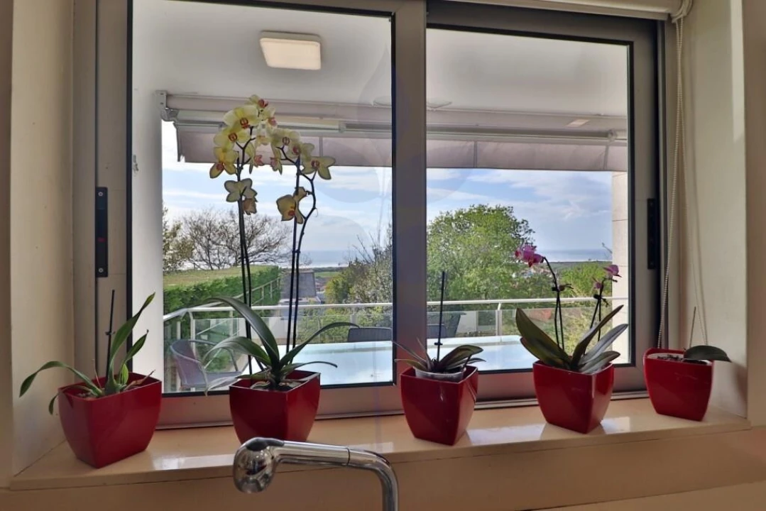 Moradia T4 para Venda em Areosa Foto 56