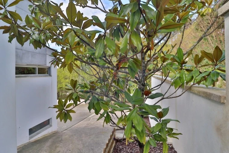 Moradia T4 para Venda em Areosa Foto 105