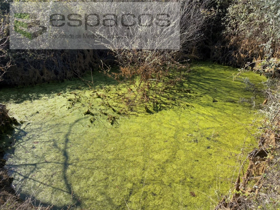 Quinta para Venda em Orca Foto 3