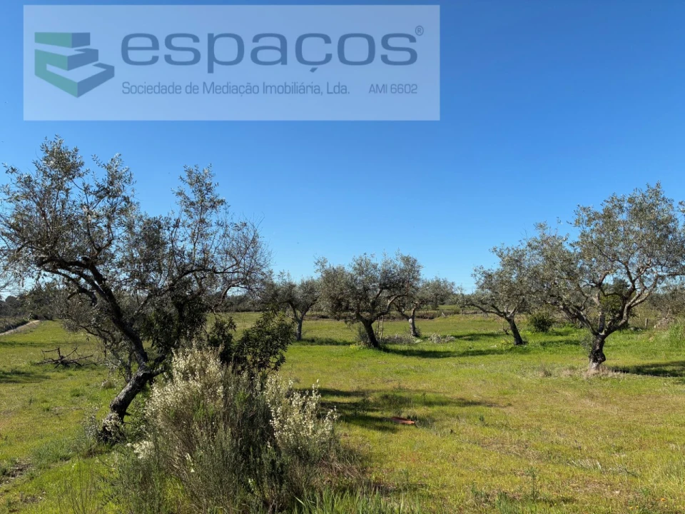 Quinta para Venda em Orca Foto 29