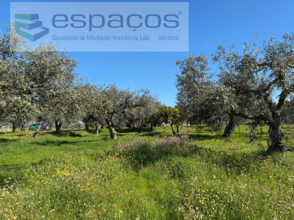 Quinta para Venda em Orca Foto 43