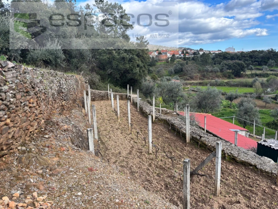 Quinta T2 para Venda em São Vicente da Beira Foto 8
