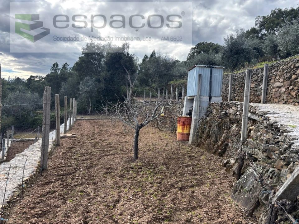 Quinta T2 para Venda em São Vicente da Beira Foto 9