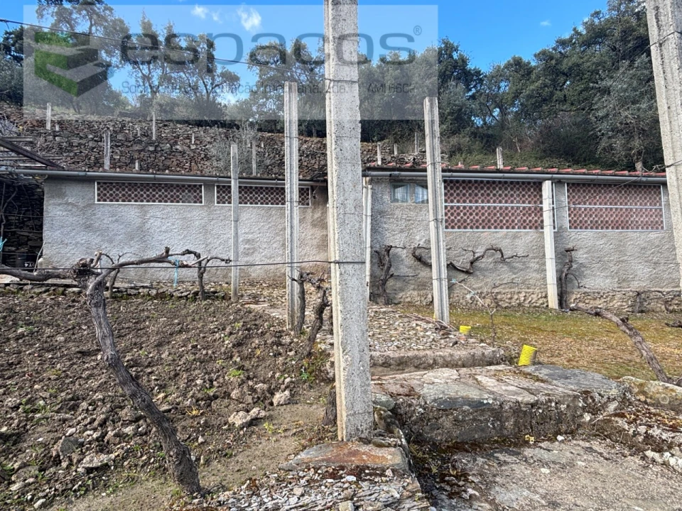 Quinta T2 para Venda em São Vicente da Beira Foto 16