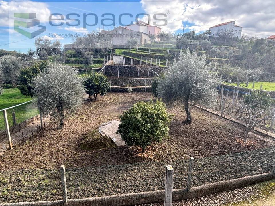 Quinta T2 para Venda em São Vicente da Beira Foto 17