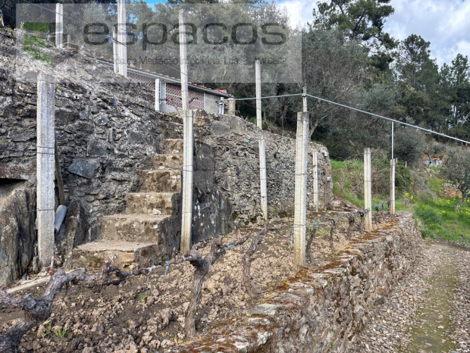Quinta T2 para Venda em São Vicente da Beira Foto 18