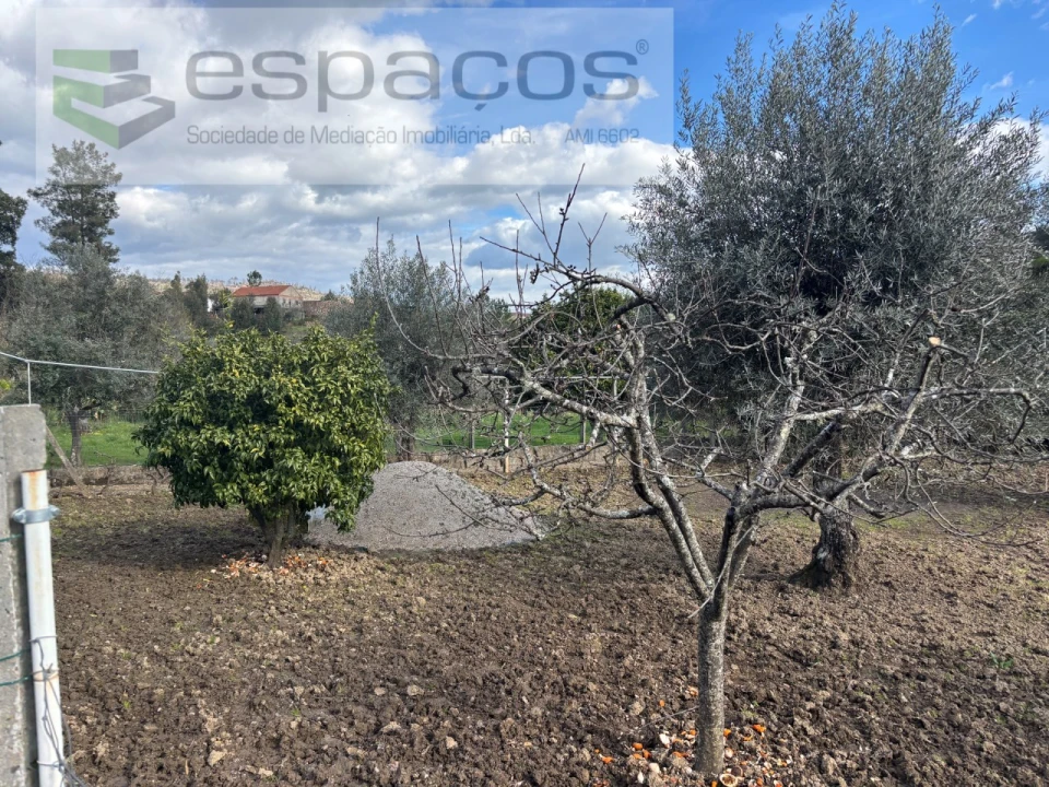 Quinta T2 para Venda em São Vicente da Beira Foto 20