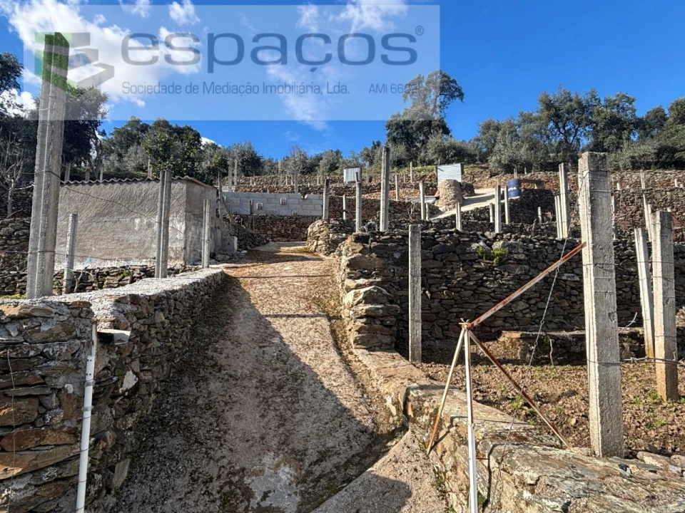 Quinta T2 para Venda em São Vicente da Beira Foto 23