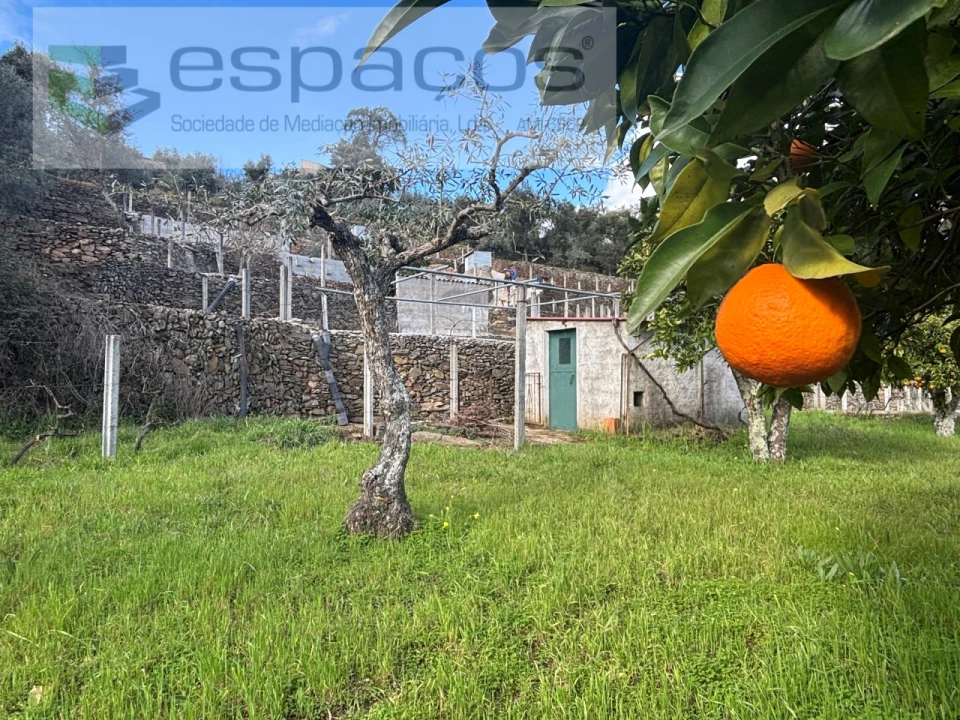 Quinta T2 para Venda em São Vicente da Beira Foto 24