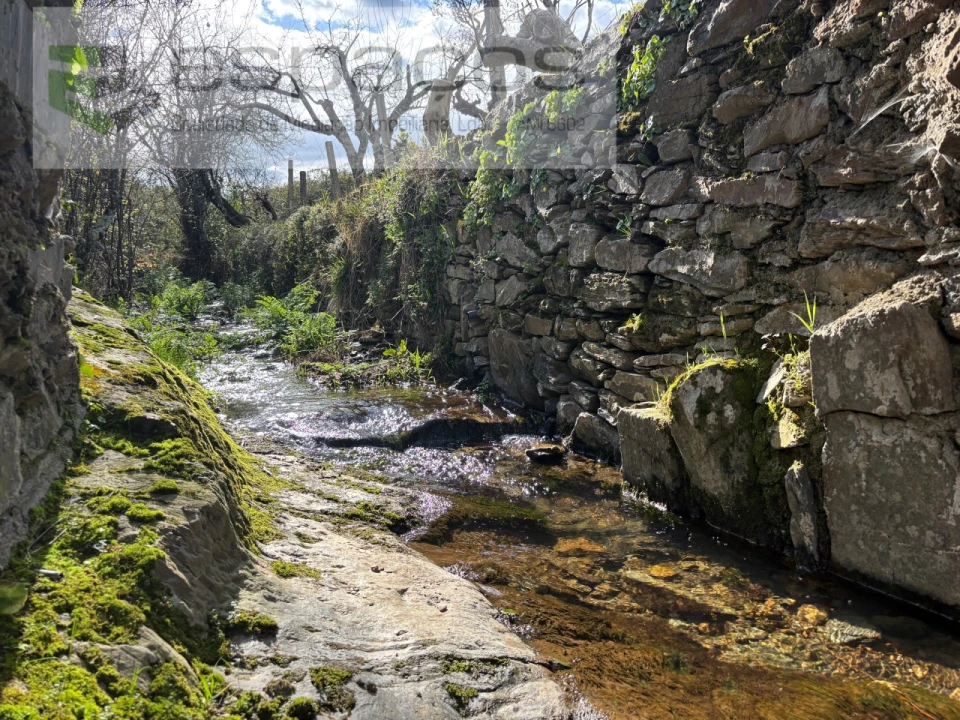 Quinta T2 para Venda em São Vicente da Beira Foto 30