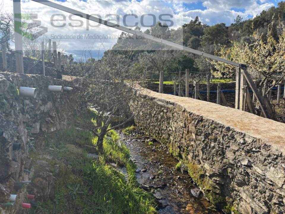 Quinta T2 para Venda em São Vicente da Beira Foto 33