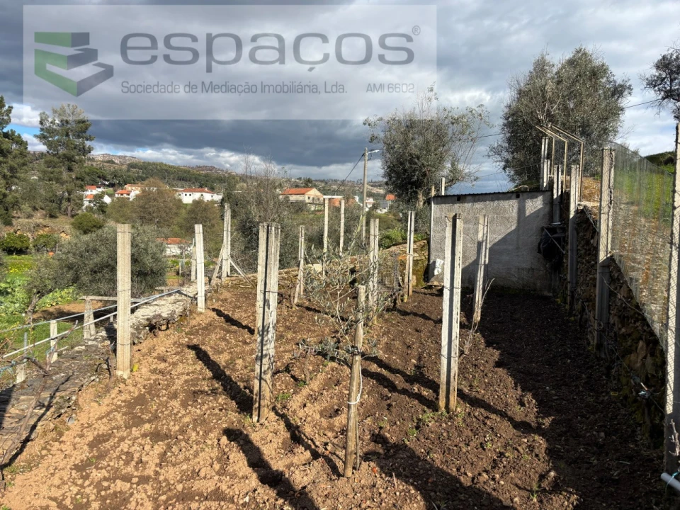 Quinta T2 para Venda em São Vicente da Beira Foto 35