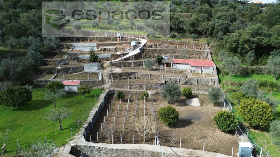 Quinta T2 para Venda em São Vicente da Beira Foto 1