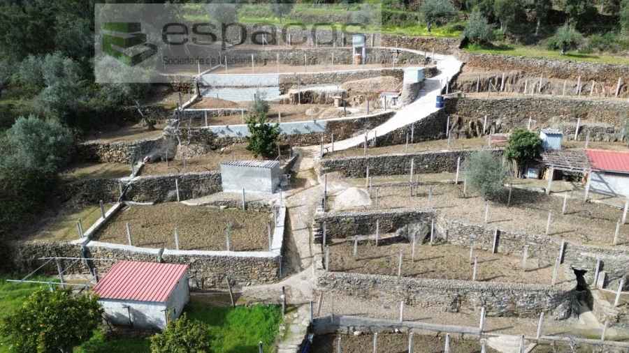 Quinta T2 para Venda em São Vicente da Beira Foto 2