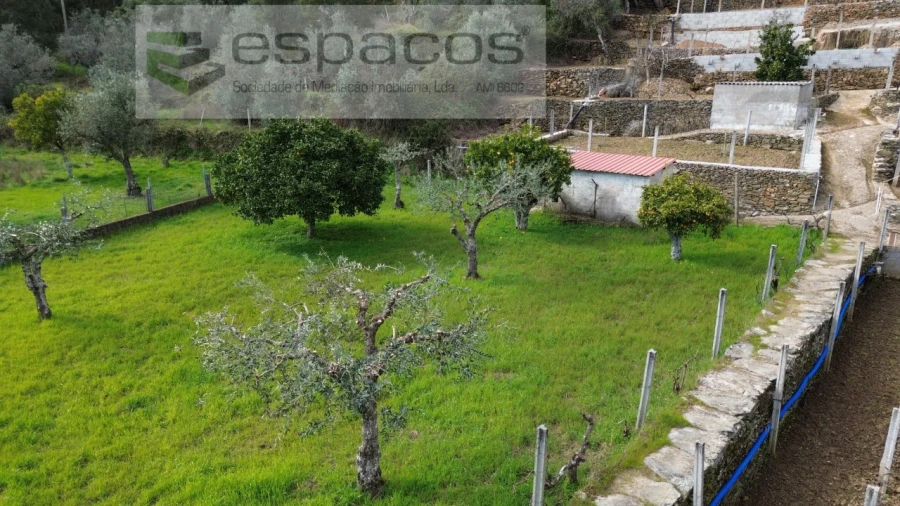 Quinta T2 para Venda em São Vicente da Beira Foto 4