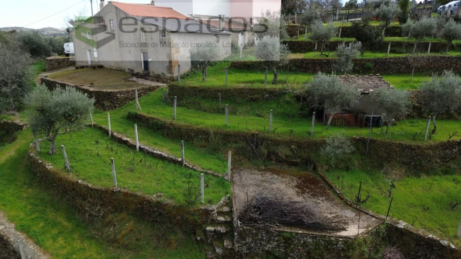 Quinta T2 para Venda em São Vicente da Beira Foto 5
