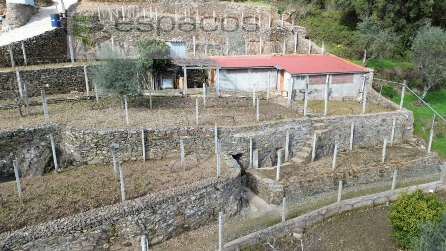 Quinta T2 para Venda em São Vicente da Beira Foto 6
