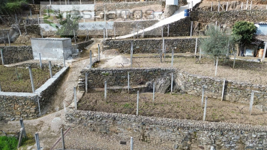 Quinta T2 para Venda em São Vicente da Beira Foto 7