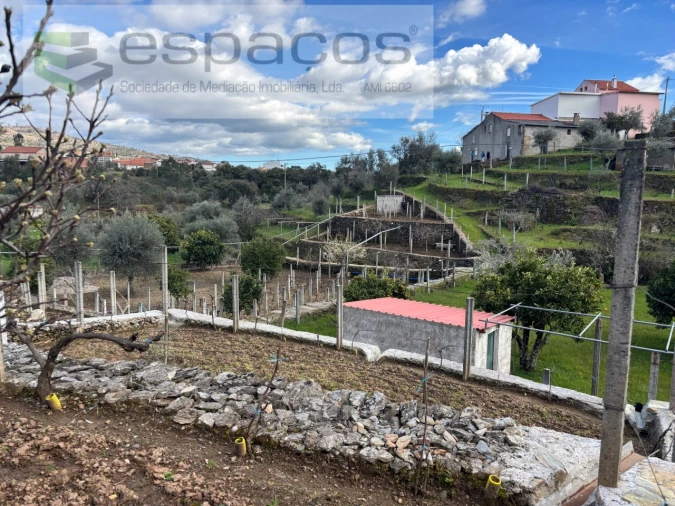 Quinta T2 para Venda em São Vicente da Beira Foto 12