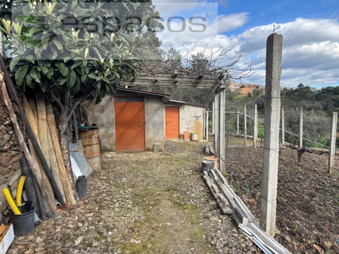 Quinta T2 para Venda em São Vicente da Beira Foto 14