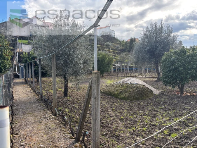 Quinta T2 para Venda em São Vicente da Beira Foto 19