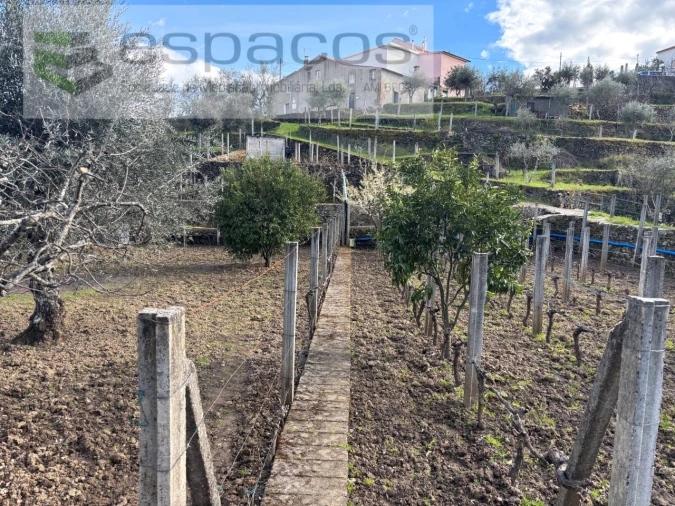Quinta T2 para Venda em São Vicente da Beira Foto 21