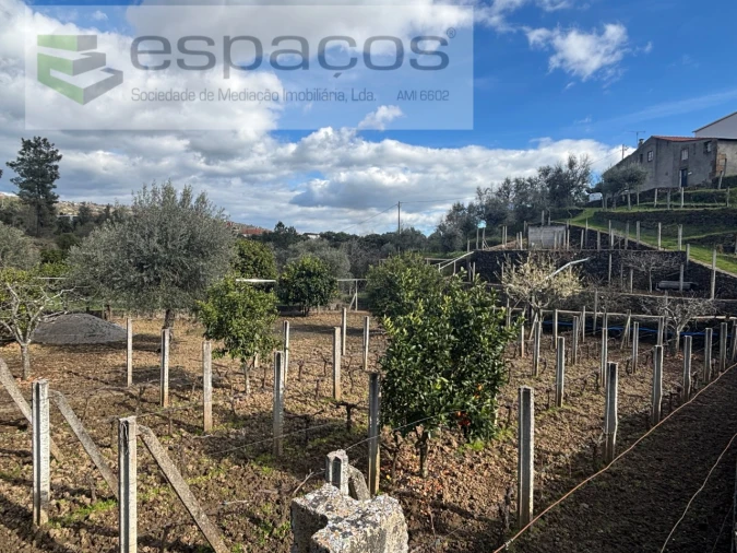 Quinta T2 para Venda em São Vicente da Beira Foto 22