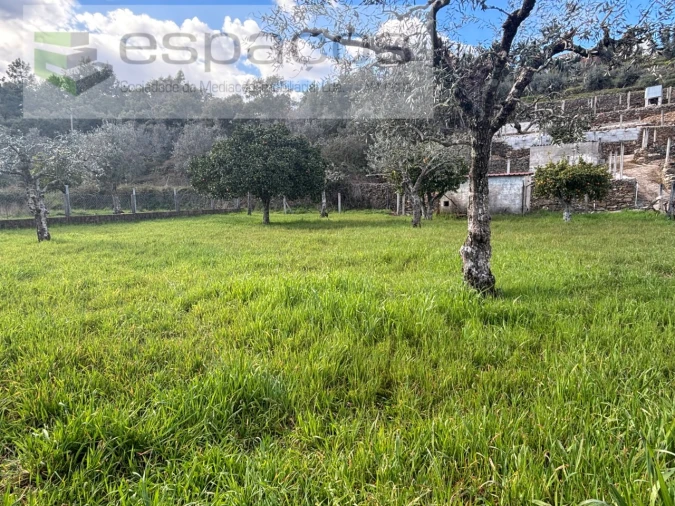 Quinta T2 para Venda em São Vicente da Beira Foto 25