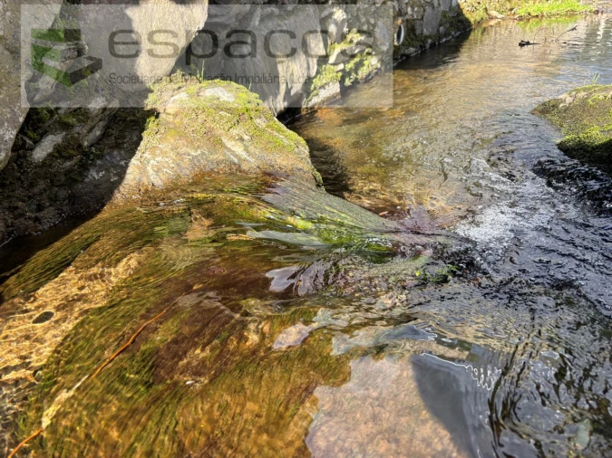 Quinta T2 para Venda em São Vicente da Beira Foto 28